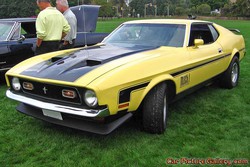 1972 Mustang Pictures