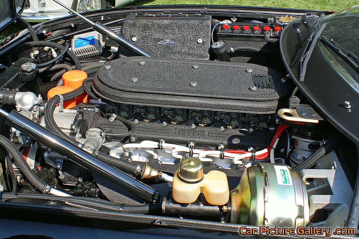 Ferrari 365 GTS 4 Engine Left Side Color Photograph