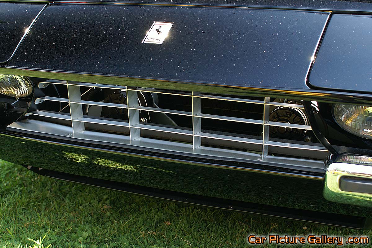 Ferrari 365 GTS 4 Grill Color Photograph