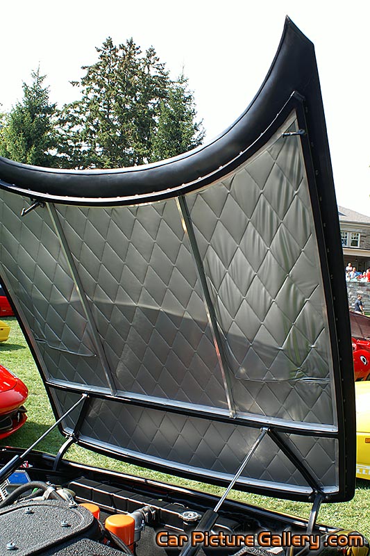 Ferrari 365 GTS 4 Hood Padding Color Photograph