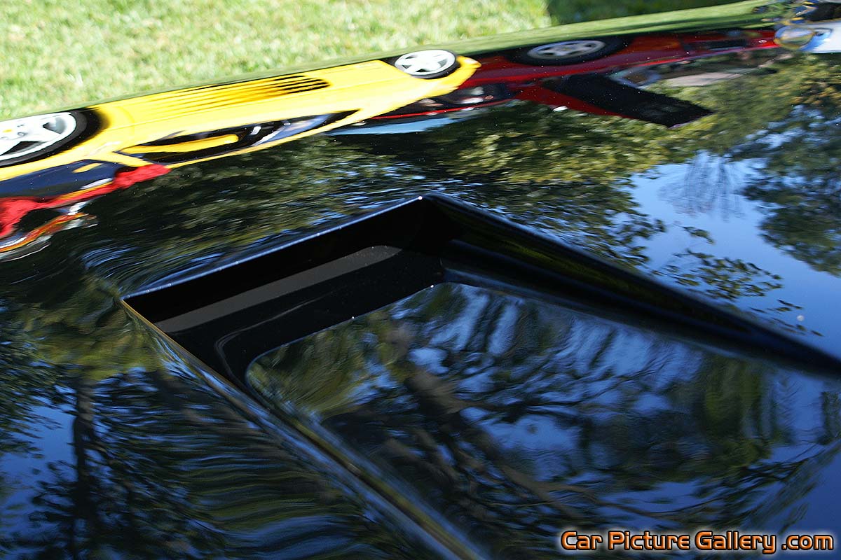 Ferrari 365 GTS 4 Hood Vent Color Photograph